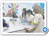 stem23